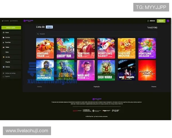 电子pg游戏官网安全可靠，保障玩家资金与信息安全的最佳选择